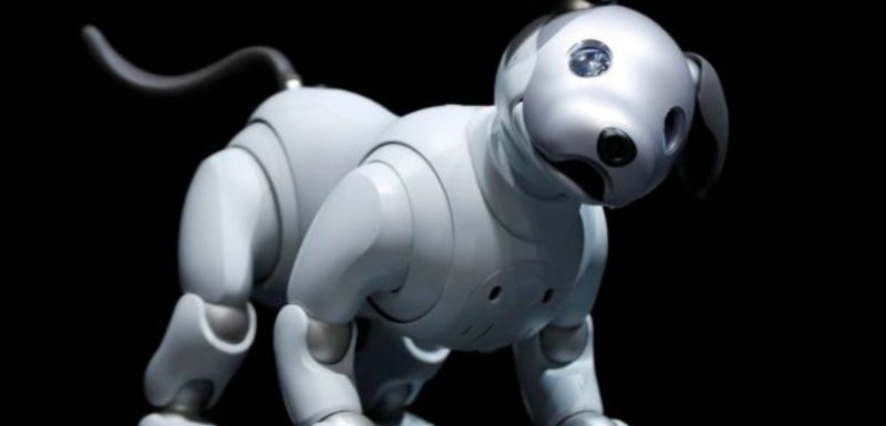 best robot animal toys