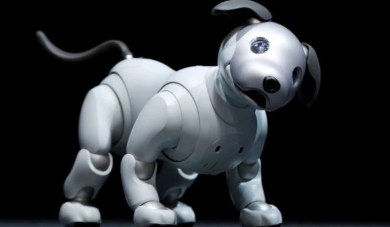robot toy for dogs